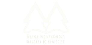 logo_montagnoli_306x200