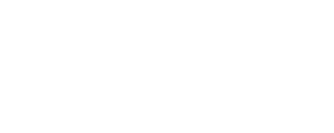 logo_synergy